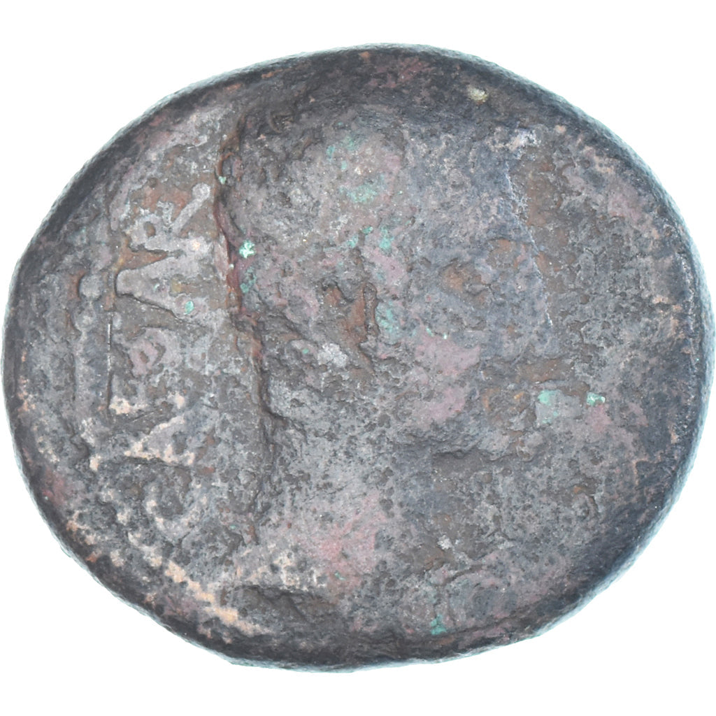 Moneta, 
Asia Minore, 
Augusto