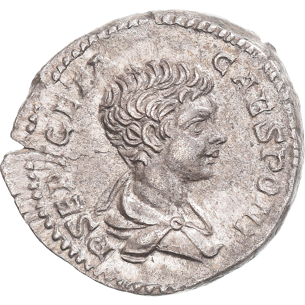 Coniare, 
  
  Geta, 
  
  Denario