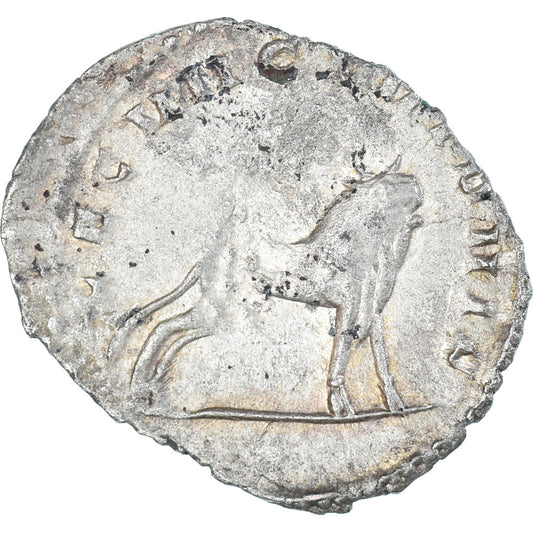 Gallieno, 
  
  Antoniniano, 
  
  260-269