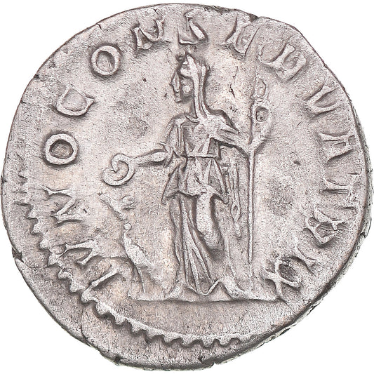 Coniare, 
  
  Giulia Mamaea, 
  
  Denario