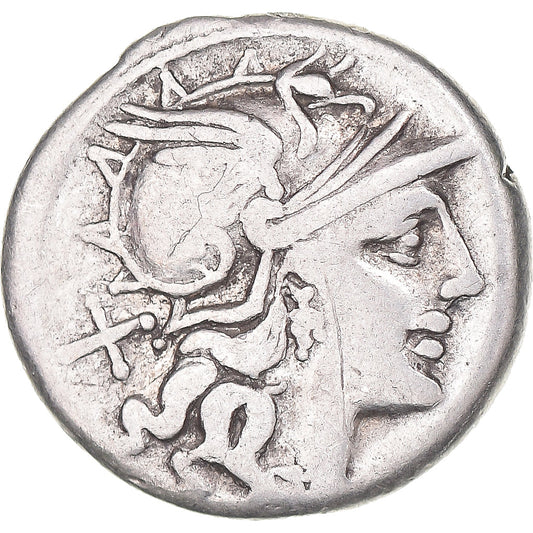 Coniare, 
  
  Cornelia, 
  
  Denario