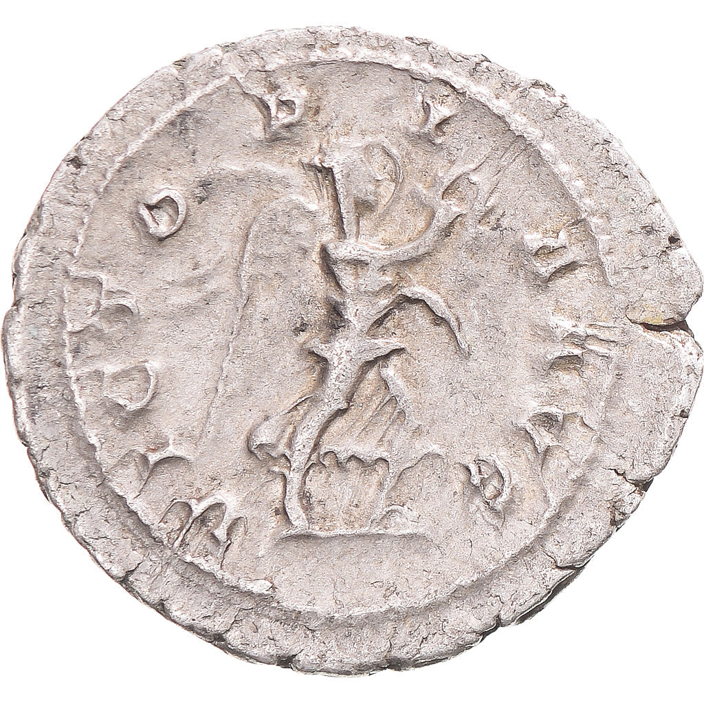 Coniare, 
  
  Massimino I Trace, 
  
  Denario