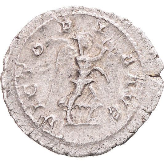 Coniare, 
  
  Massimino I Trace, 
  
  Denario