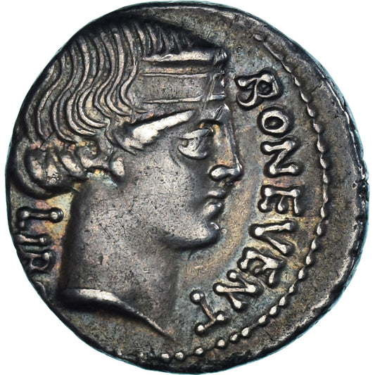 Scribonia, 
  
  Denario, 
  
  62 a.C